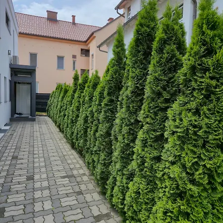 Dina * Μαριμπόρ